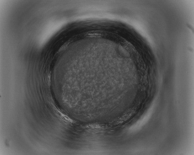 X0000097790194200804041243
