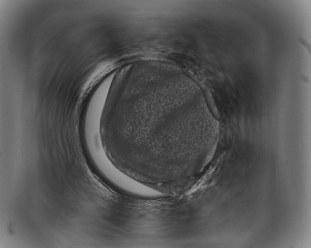 X0000097790197200804041243