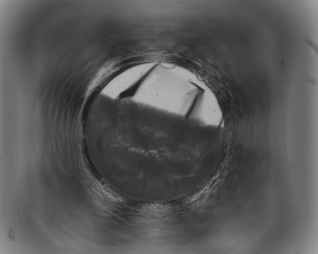 X0000097790198200804041243