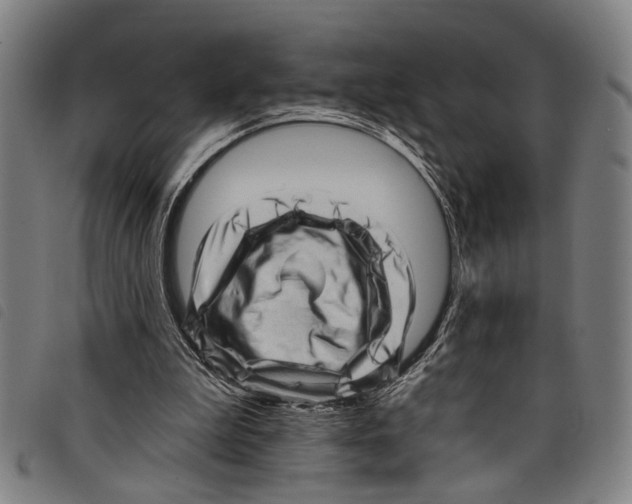 X0000097790199200804041243