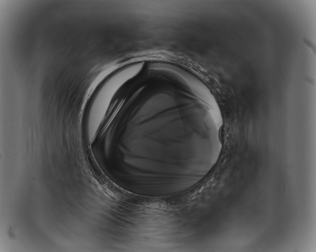 X0000097790200200804041243