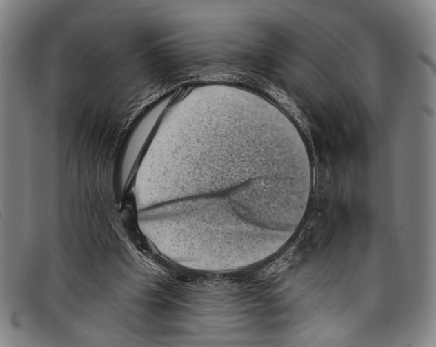 X0000097790201200804041243