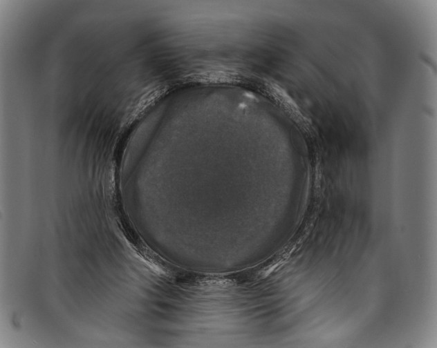 X0000097790202200804041243
