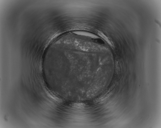 X0000097790203200804041243