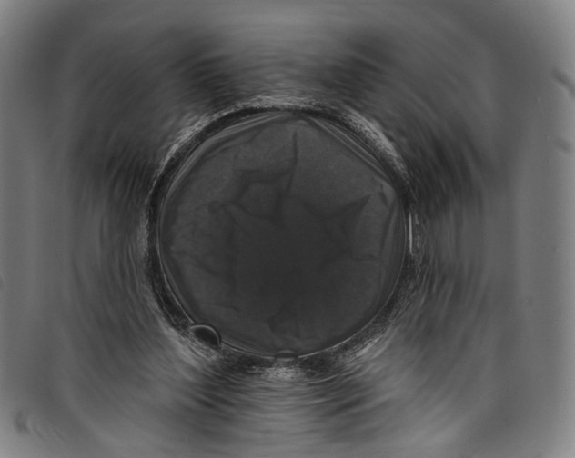 X0000097790204200804041243