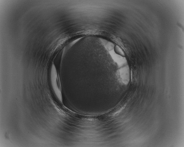 X0000097790205200804041243