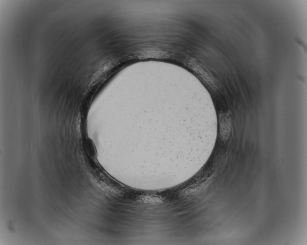 X0000097790207200804041243