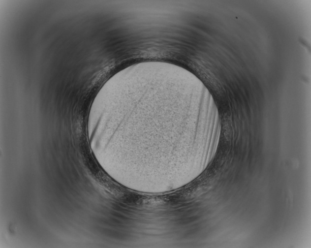 X0000097790208200804041243