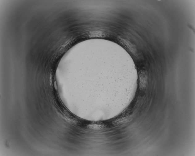 X0000097790211200804041243
