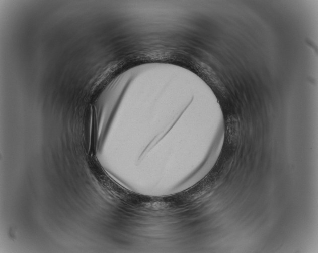 X0000097790212200804041243