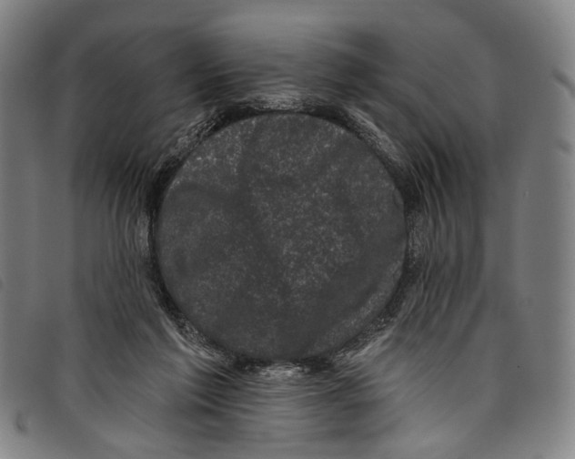 X0000097790213200804041243
