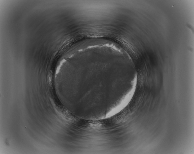 X0000097790214200804041243