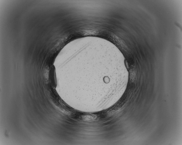 X0000097790215200804041243