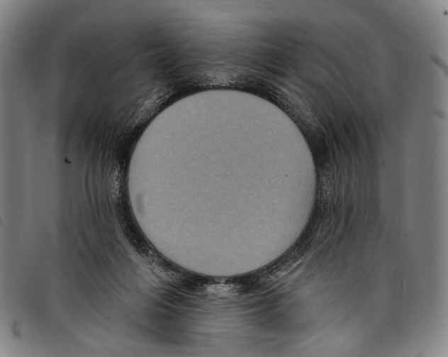 X0000097790216200804041243