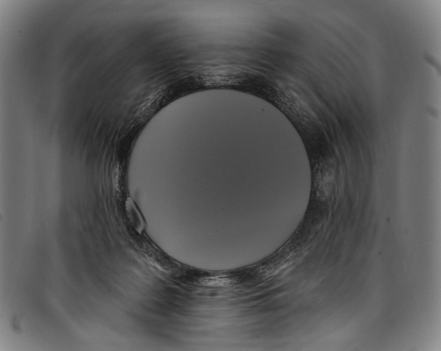 X0000097790219200804041243