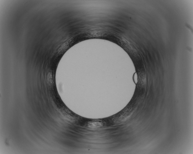 X0000097790220200804041243
