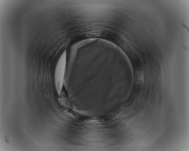 X0000097790224200804041243