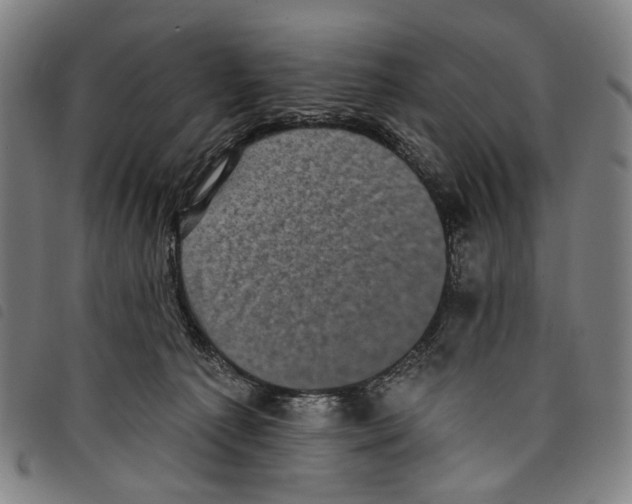 X0000097790225200804041243