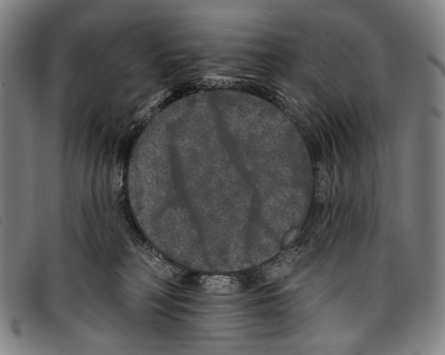 X0000097790230200804041243