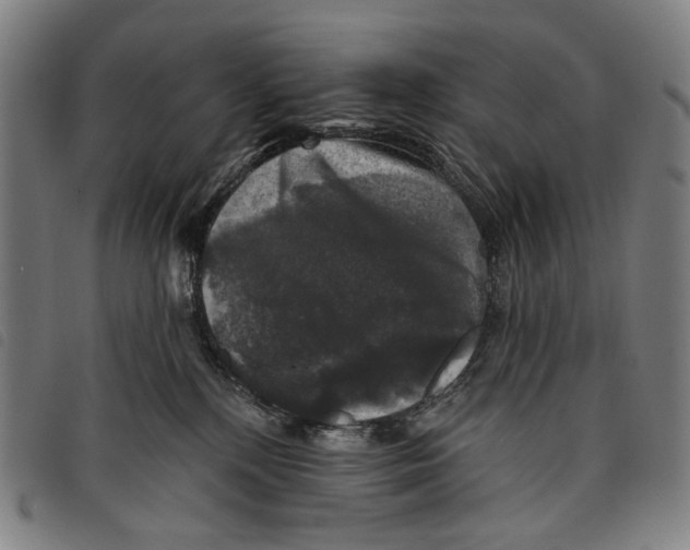 X0000097790232200804041243