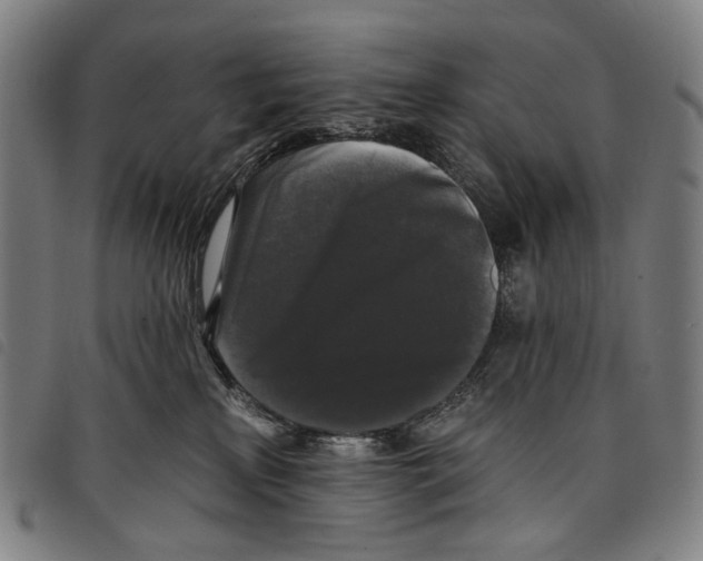 X0000097790233200804041243