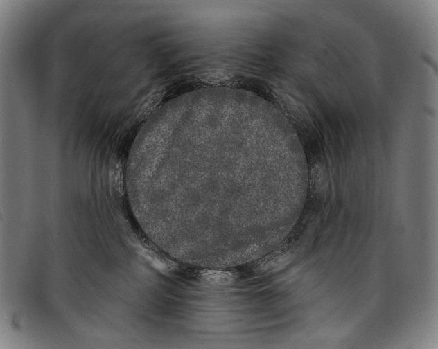 X0000097790234200804041243
