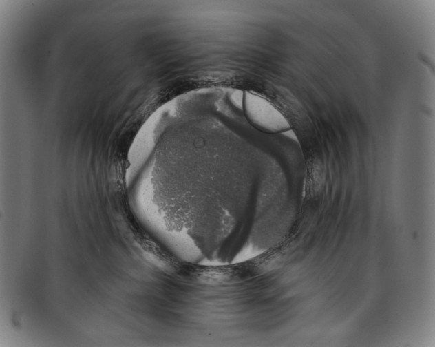 X0000097790236200804041243
