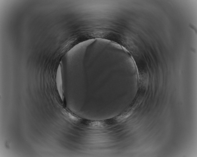 X0000097790237200804041243