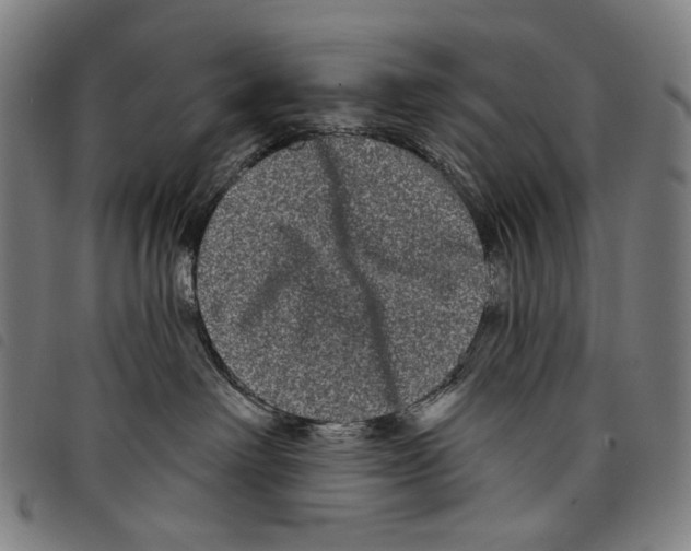 X0000097790238200804041243