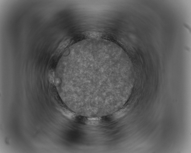 X0000097790240200804041243