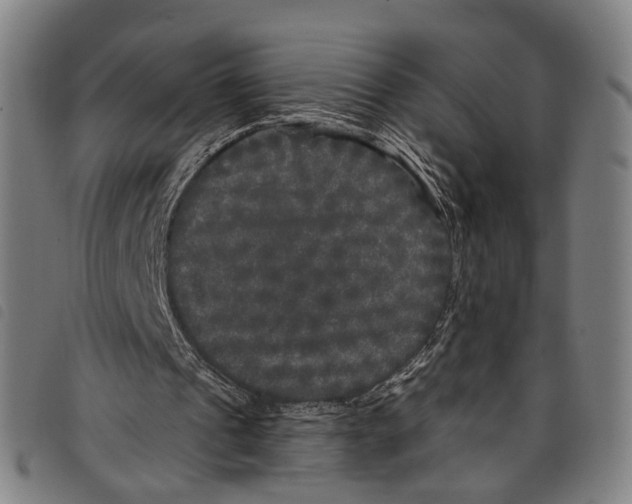 X0000097790241200804041242