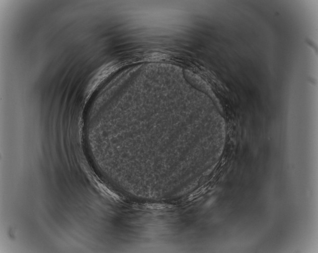 X0000097790242200804041242