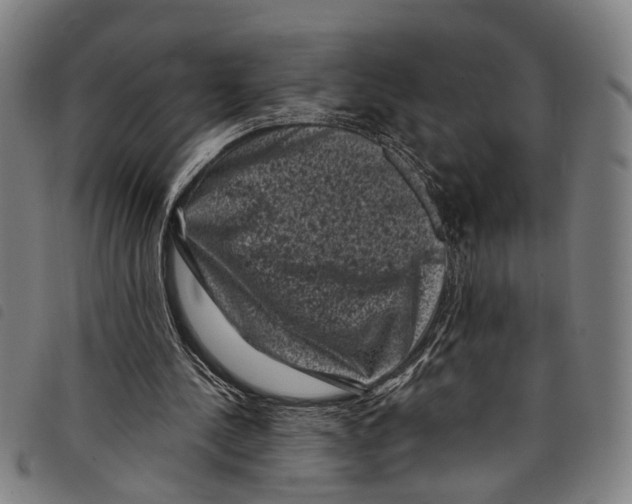 X0000097790244200804041242