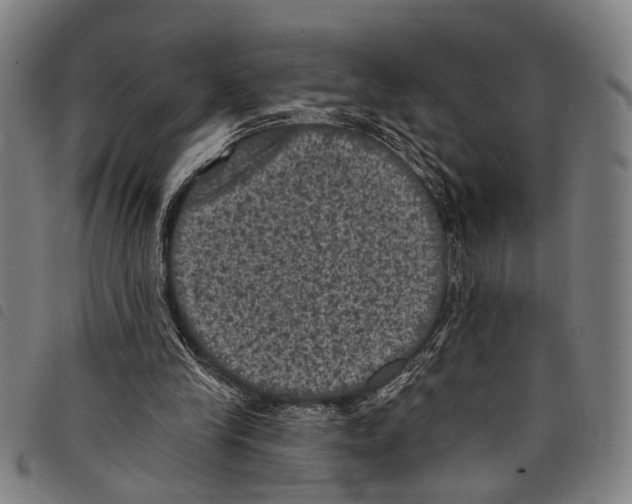X0000097790245200804041242