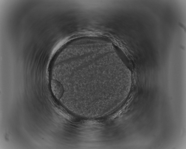 X0000097790246200804041242