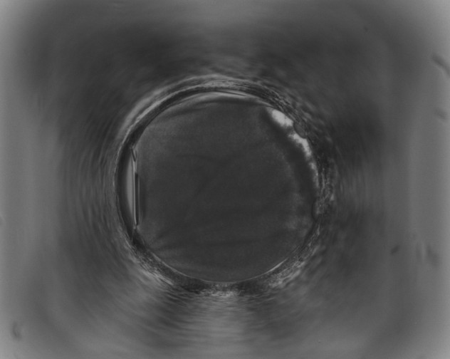 X0000097790247200804041242