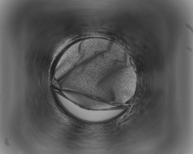 X0000097790248200804041242