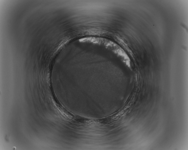 X0000097790249200804041242