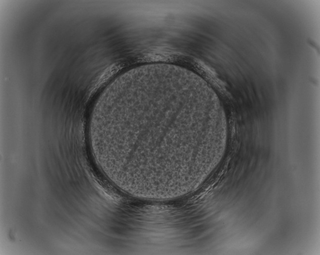 X0000097790250200804041242