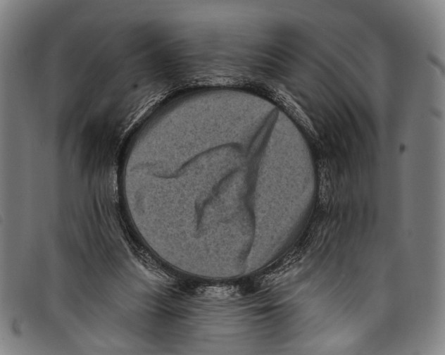 X0000097790251200804041242