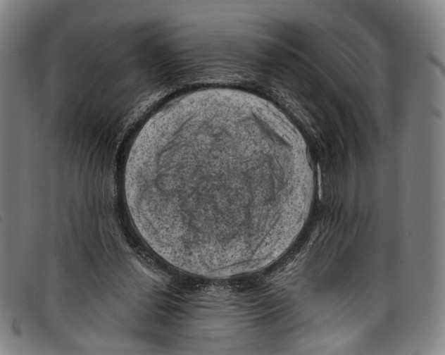 X0000097790252200804041242