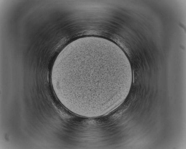 X0000097790253200804041242