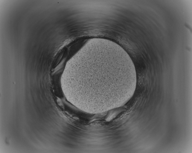 X0000097790256200804041242