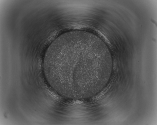 X0000097790257200804041242