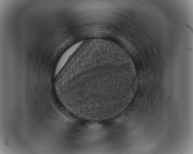 X0000097790258200804041242