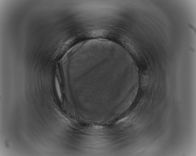 X0000097790260200804041242