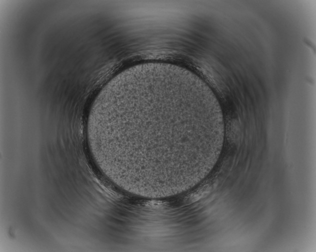 X0000097790261200804041242
