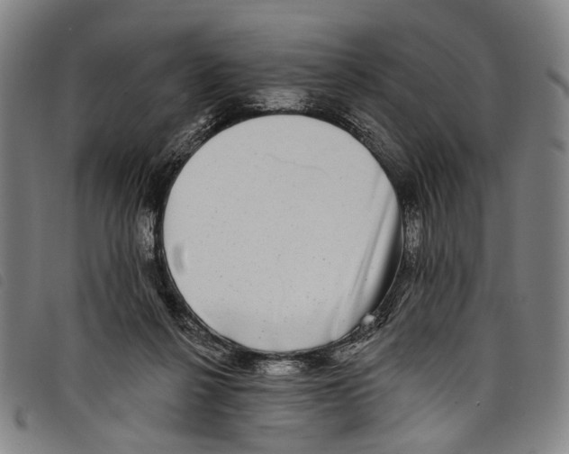 X0000097790264200804041242