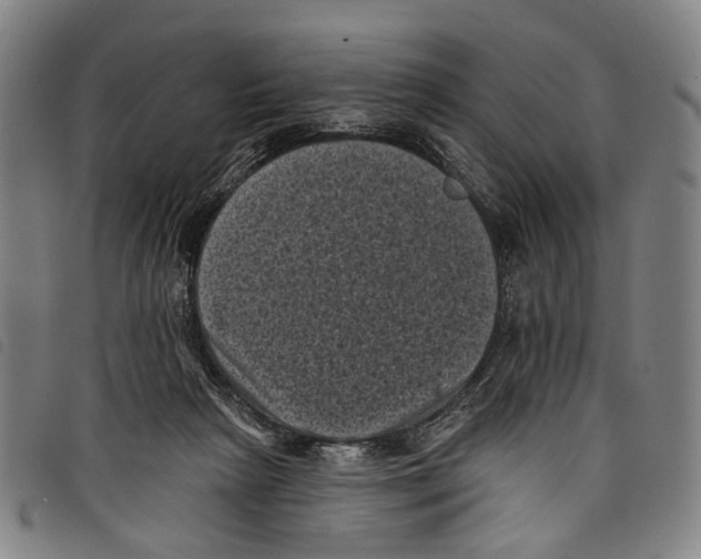 X0000097790265200804041242