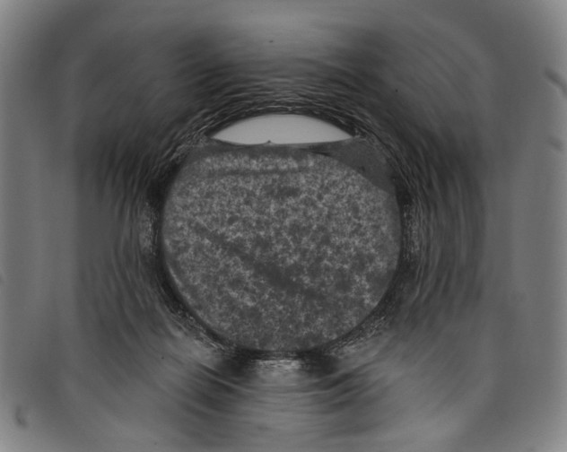 X0000097790266200804041242